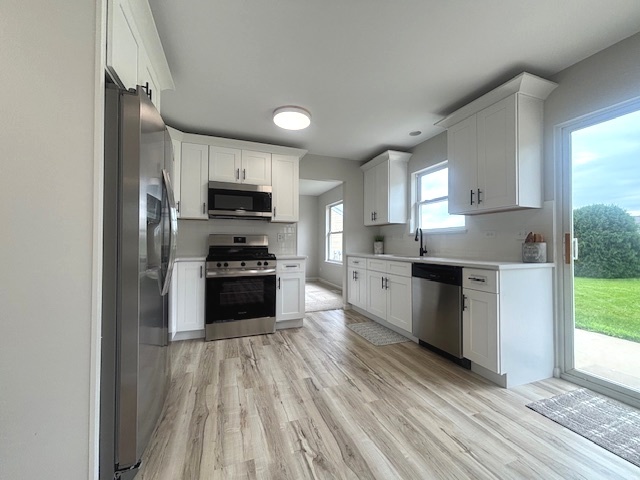 1600 Donegal Drive, Minooka, IL 60447