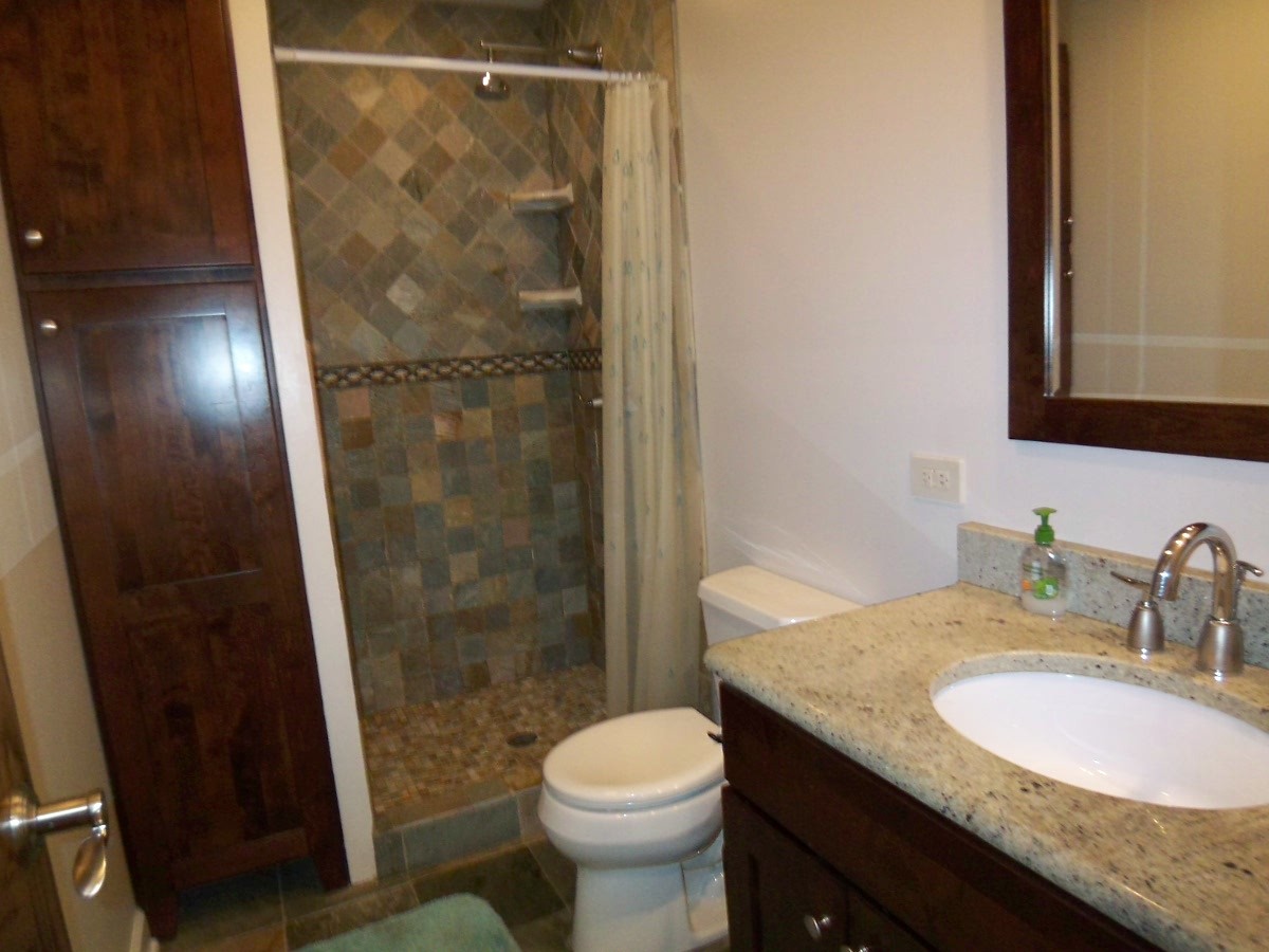 623 Willow Lane, Elk Grove Village, IL 60007