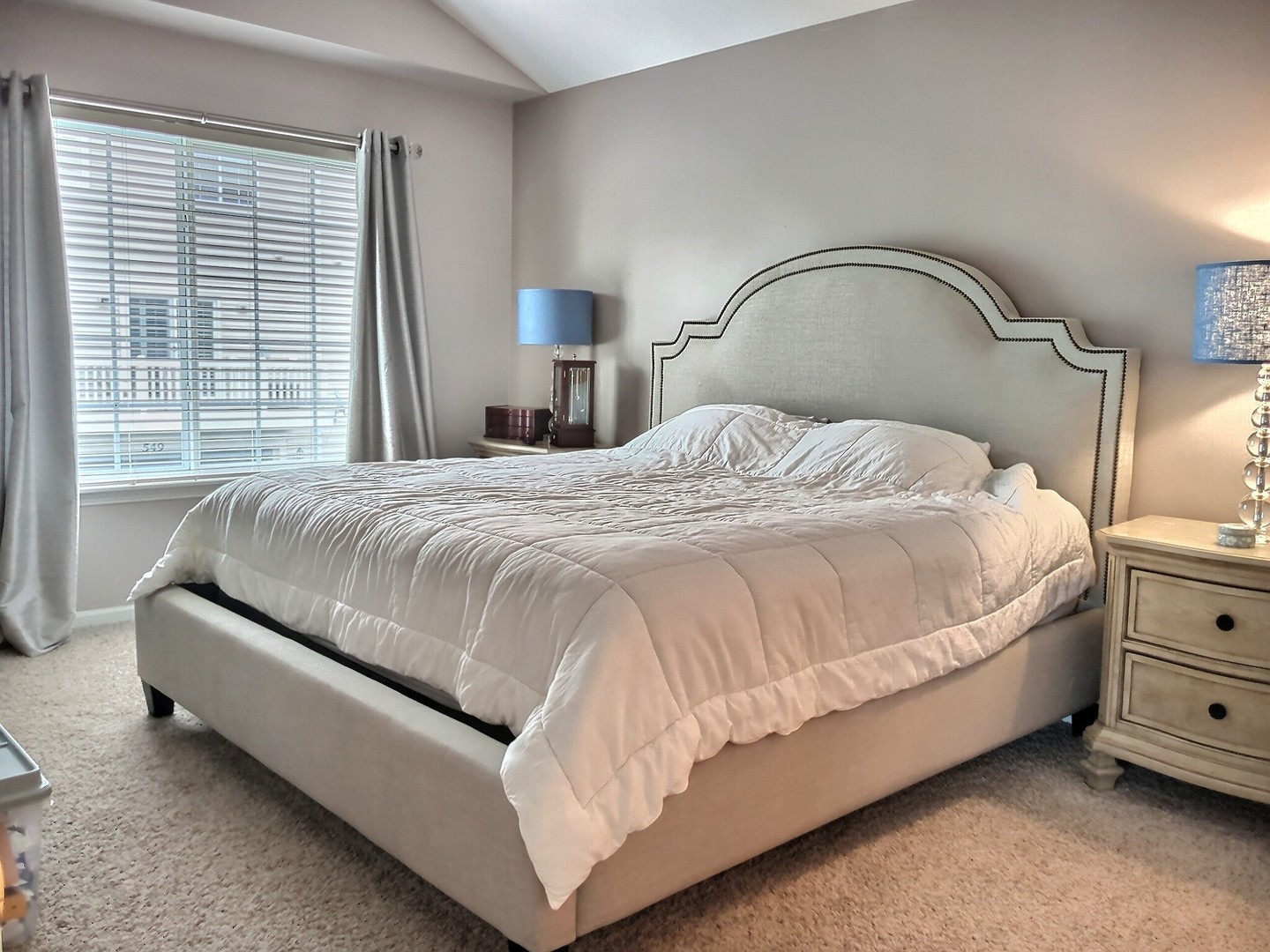 557 Cary Woods Circle, Cary, IL 60013
