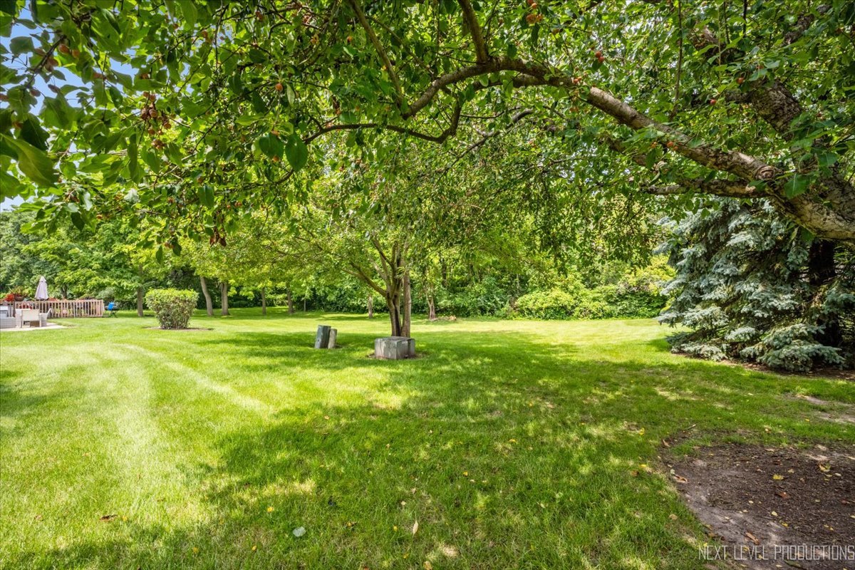 4141 Oak Tree Lane, Plainfield, IL 60586