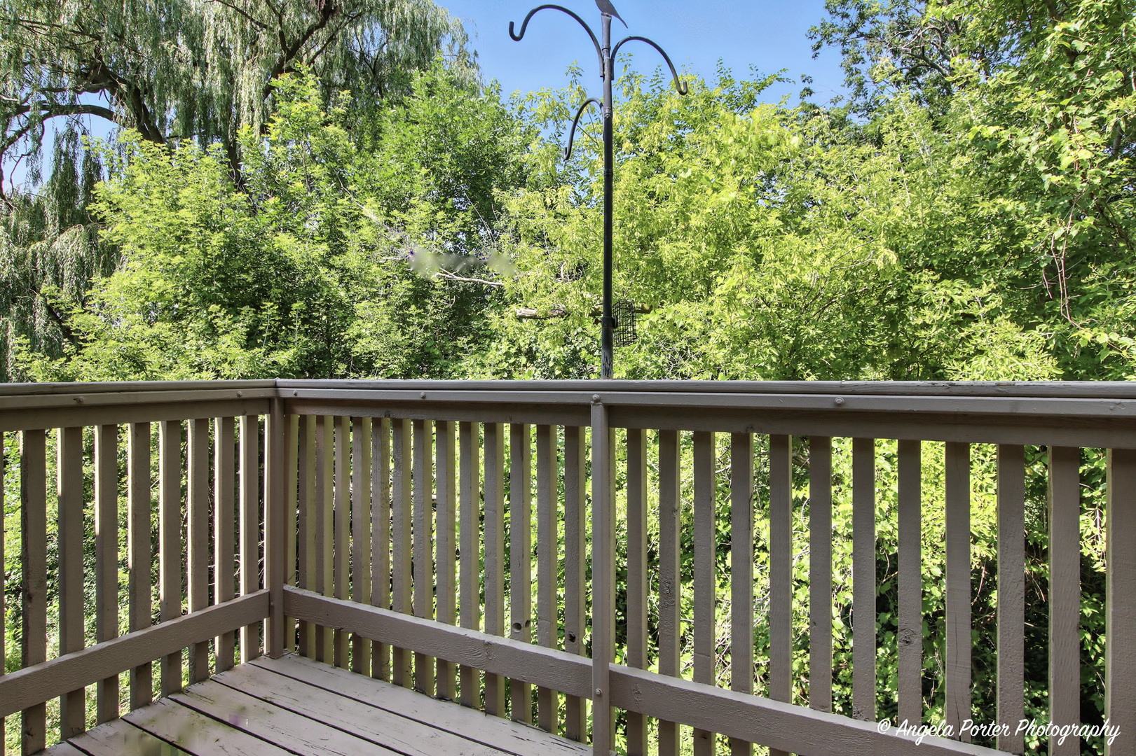 33720 N Royal Oak Lane #206, Grayslake, IL 60030