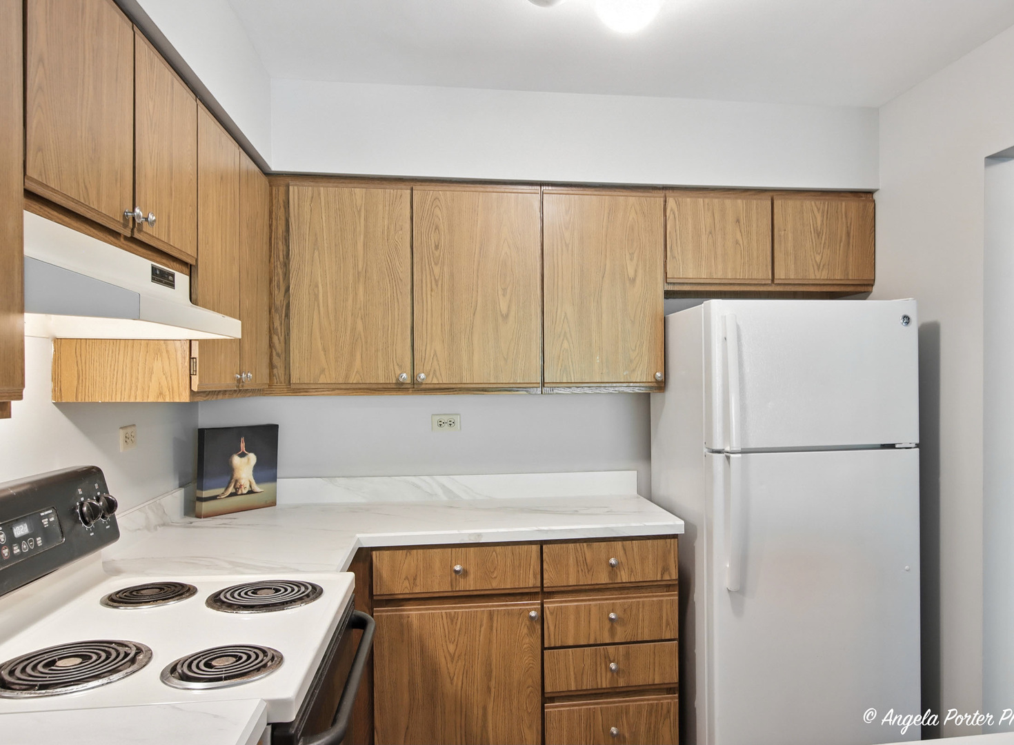 33720 N Royal Oak Lane #206, Grayslake, IL 60030