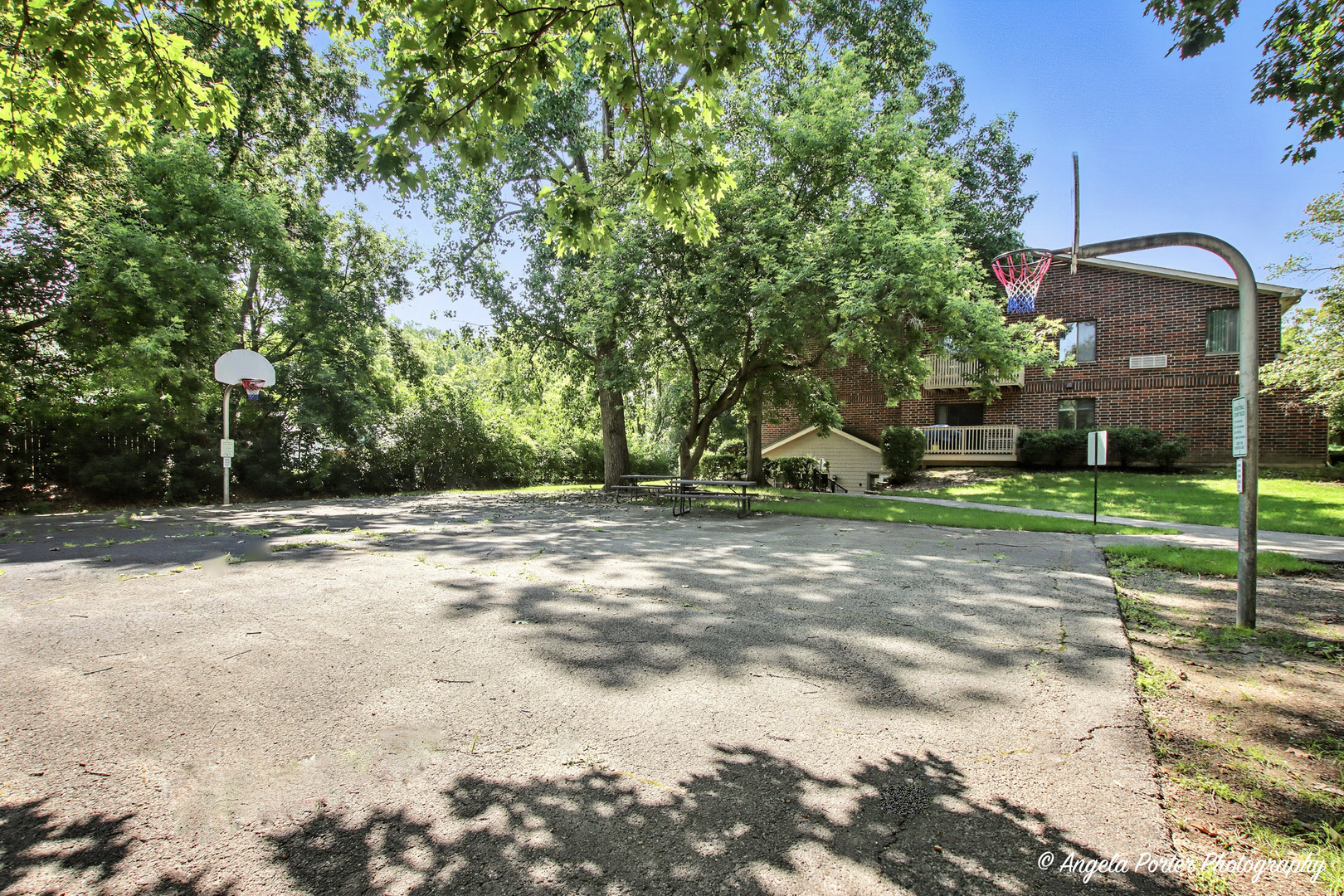 33720 N Royal Oak Lane #206, Grayslake, IL 60030