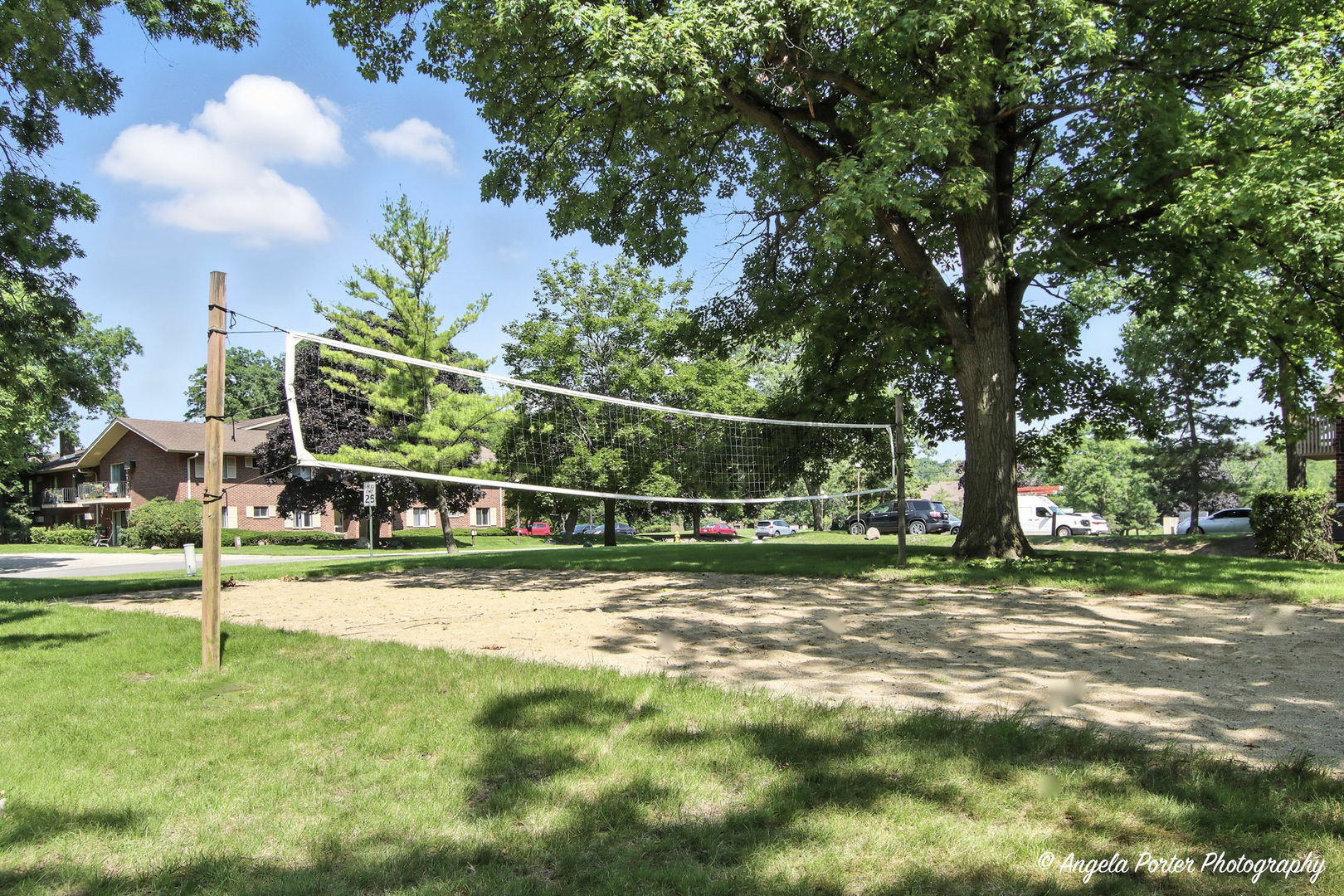 33720 N Royal Oak Lane #206, Grayslake, IL 60030