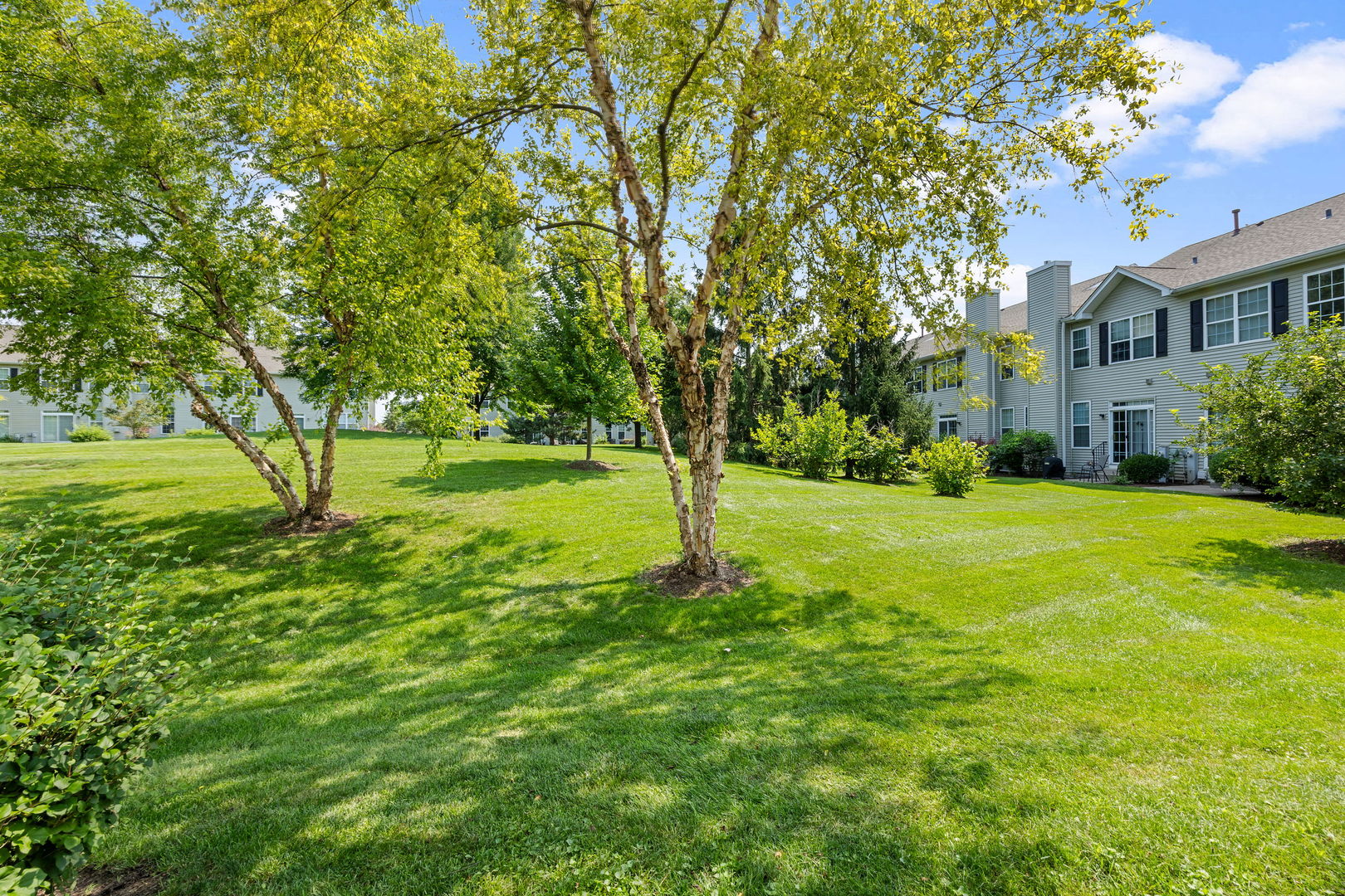 1521 Envee Drive, Bolingbrook, IL 60490