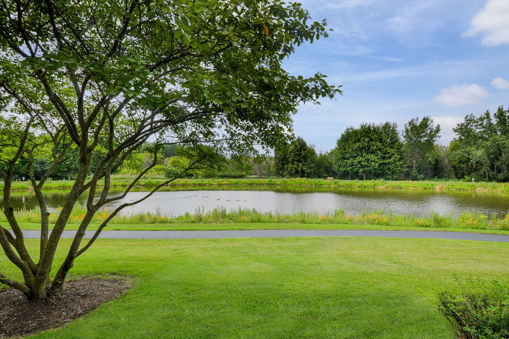 772 Panorama Court, Aurora, IL 60502