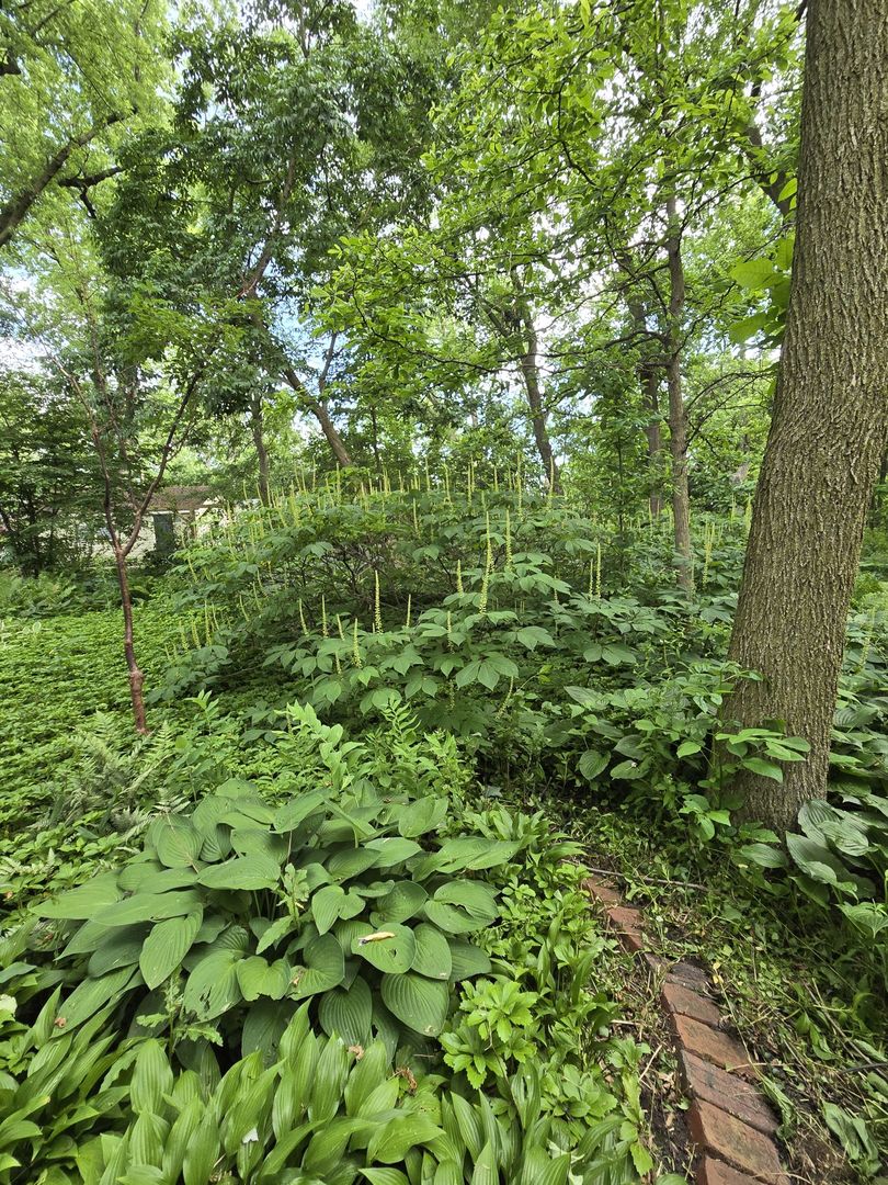 66 S 2nd Avenue, Lombard, IL 60148