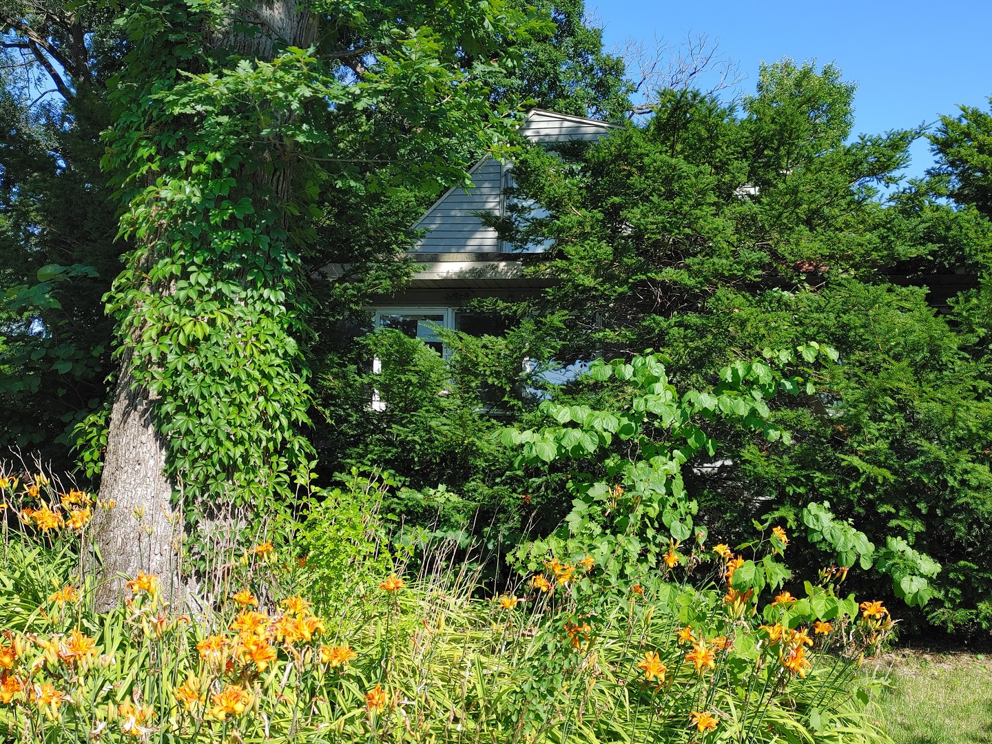430 Elm Court, Twin Lakes, WI 53181
