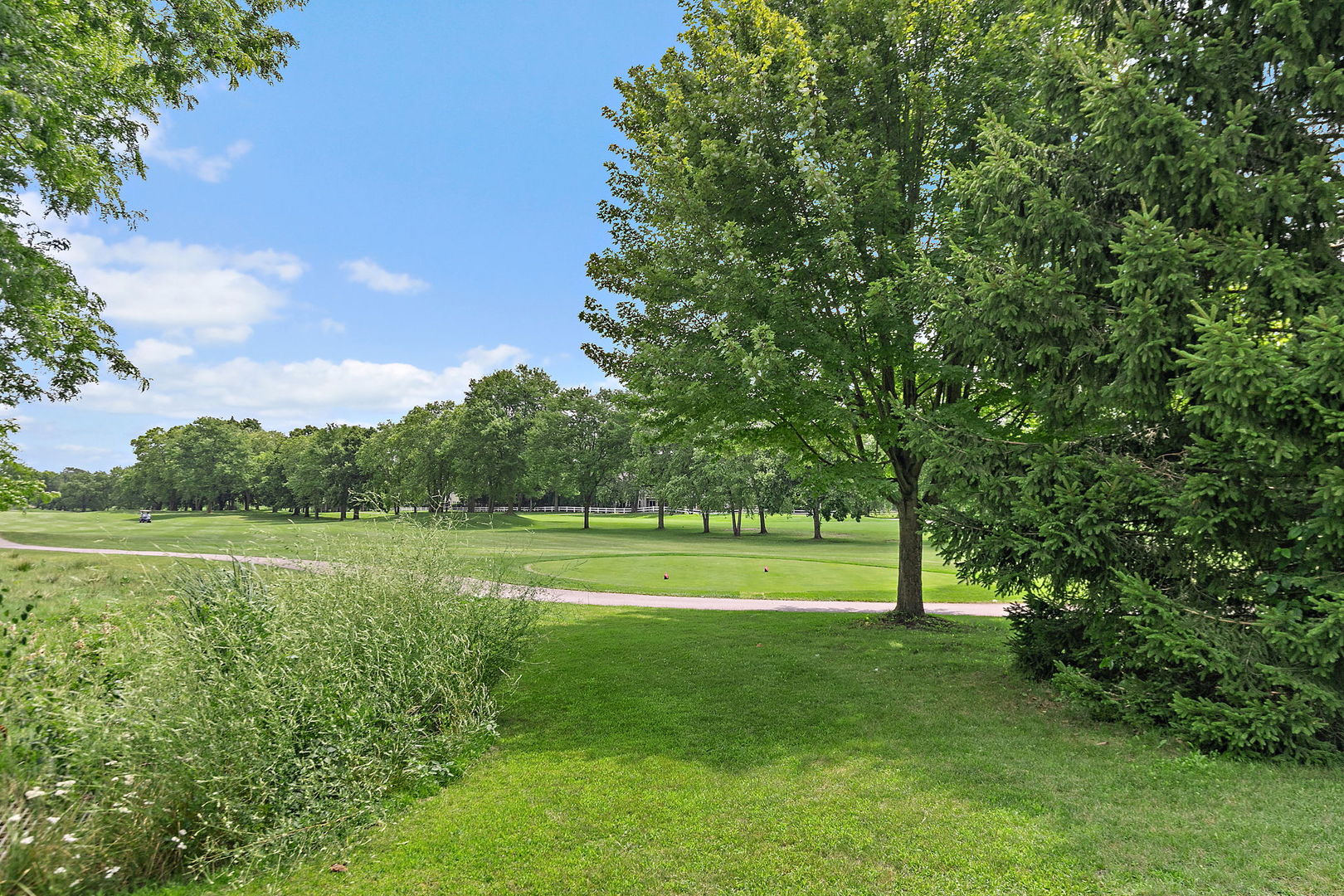 1812 Fox Run Drive #A, Elk Grove Village, IL 60007