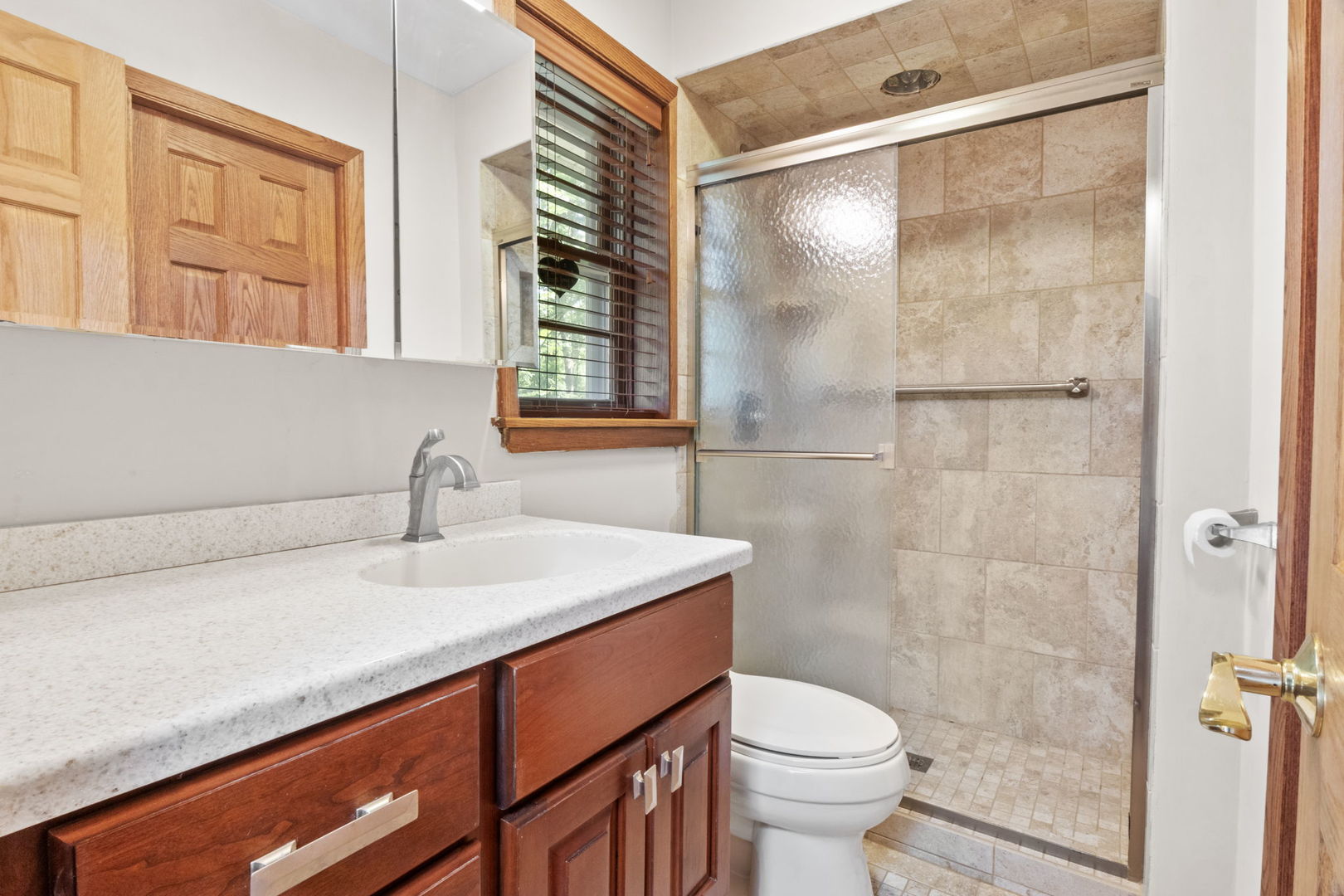 12222 Rambling Road, Homer Glen, IL 60491