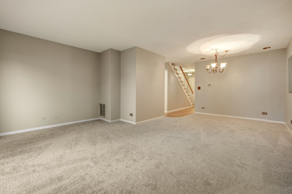1113 E Randville Drive, Palatine, IL 60074