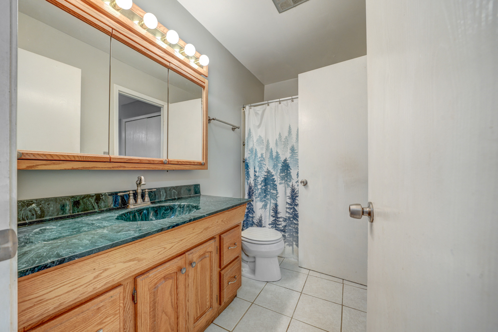 1113 E Randville Drive, Palatine, IL 60074