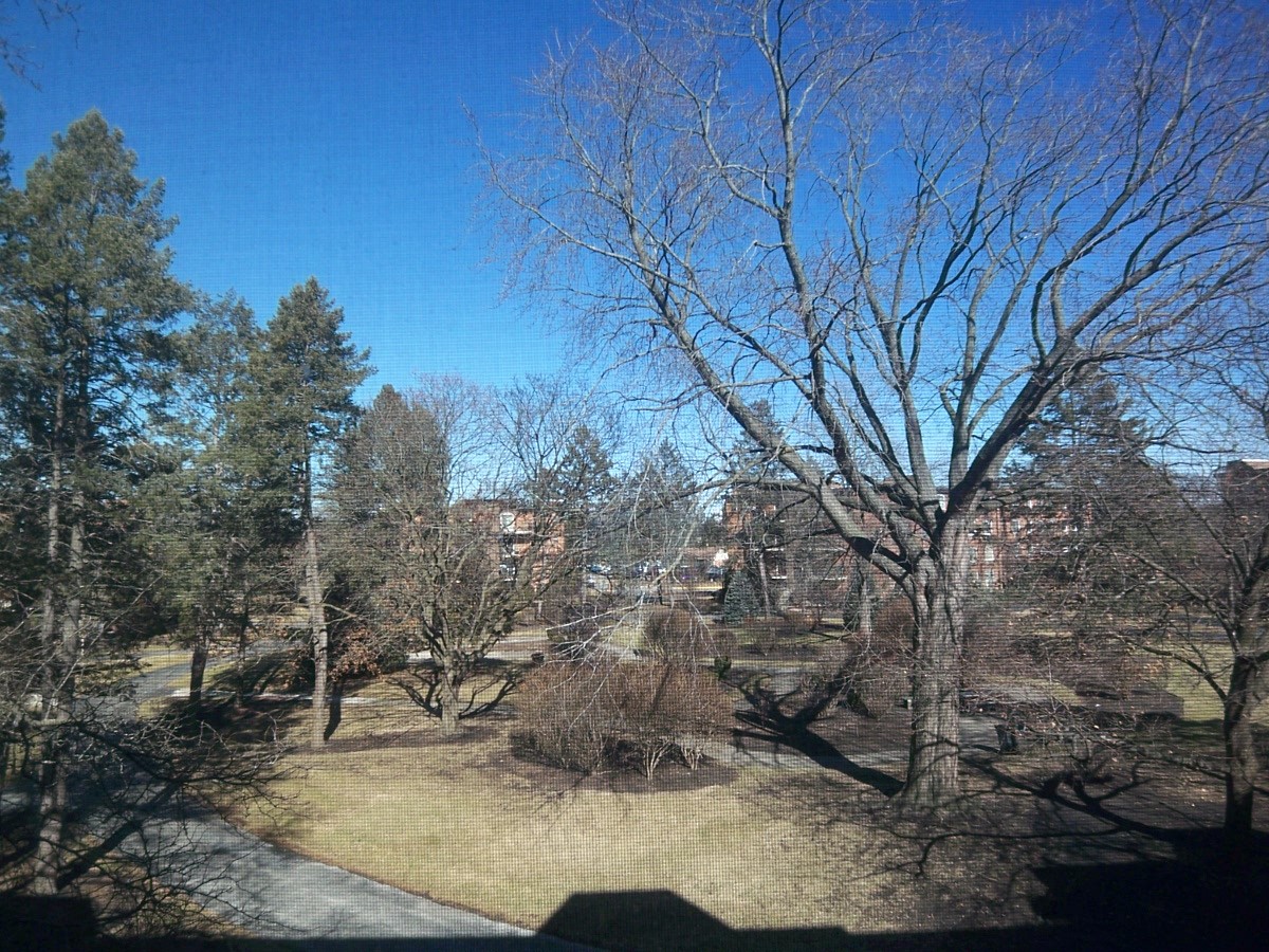 1227 S Old Wilke Road #306, Arlington Heights, IL 60005