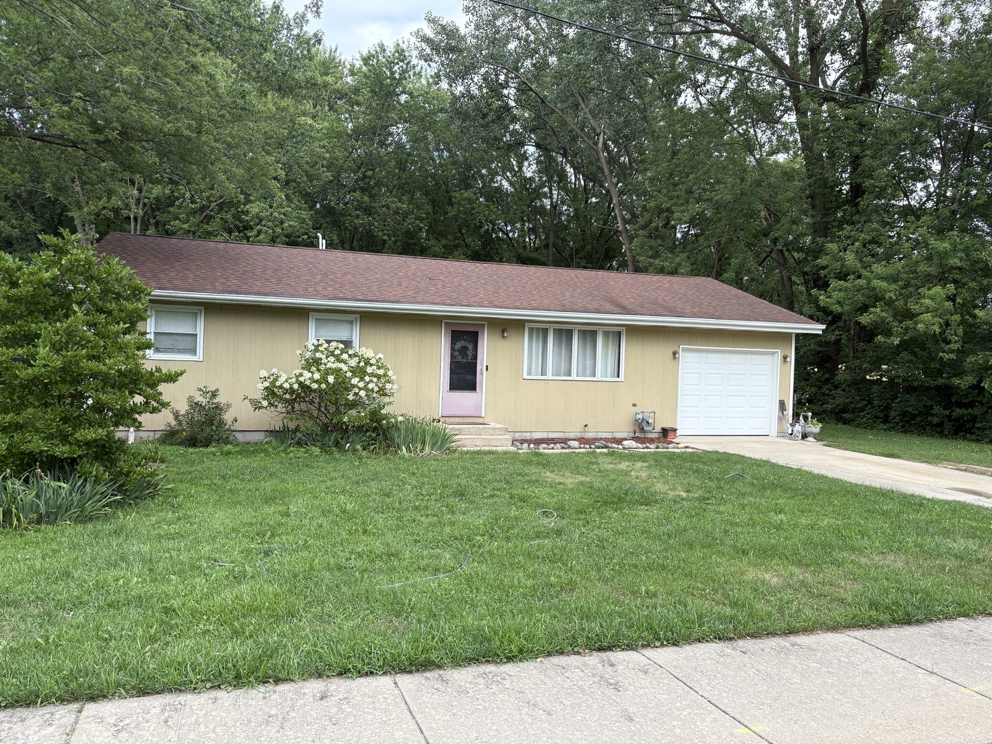 230 Barr Street, Braidwood, IL 60408
