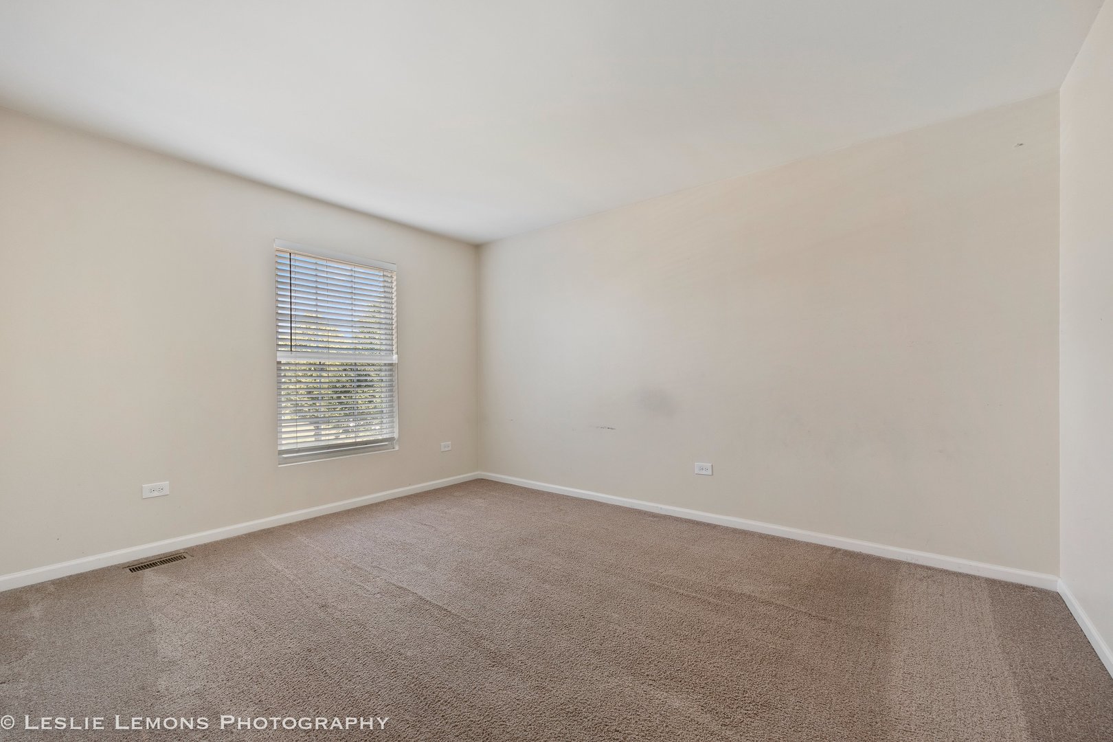 366 Tiger Street, Bolingbrook, IL 60490