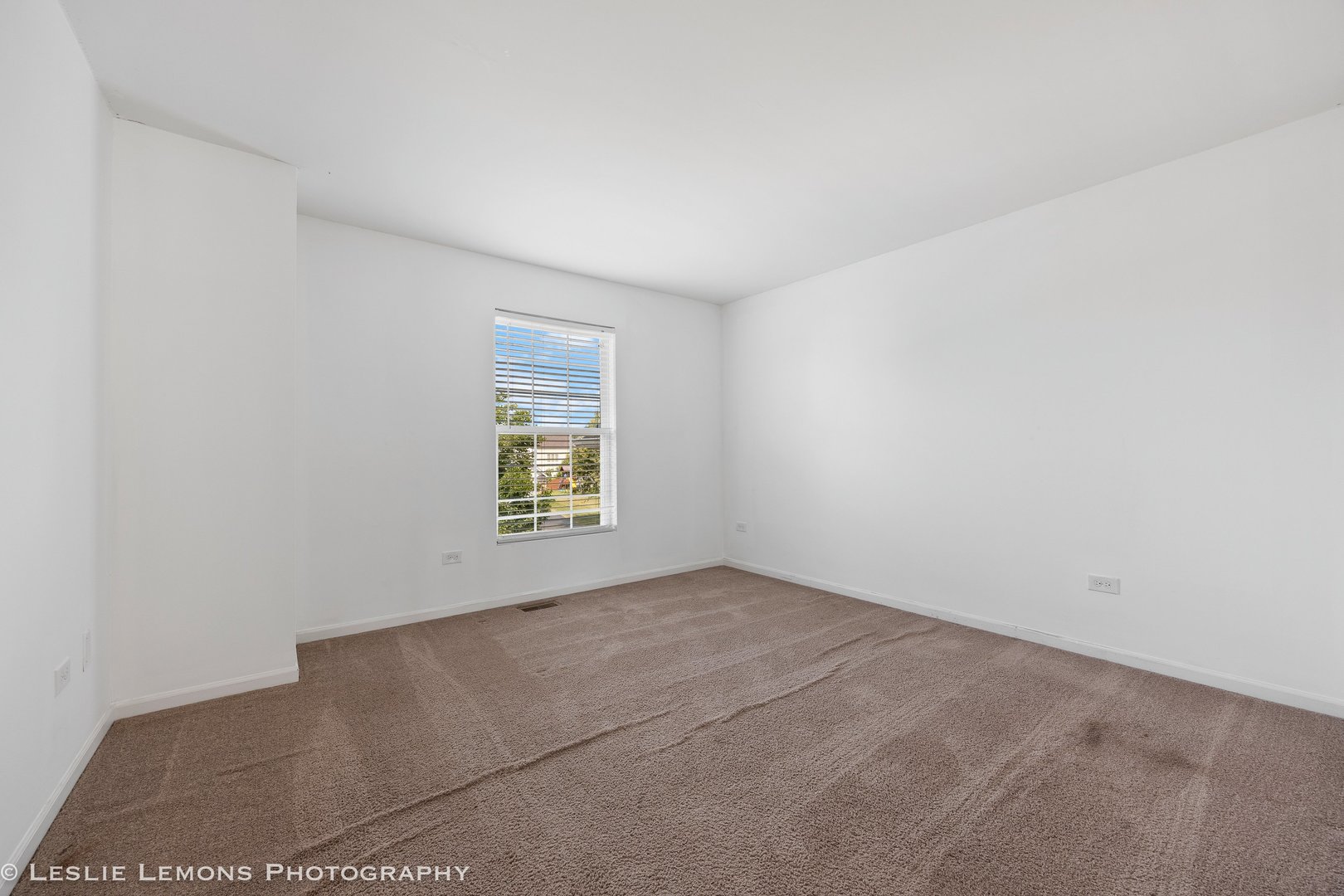 366 Tiger Street, Bolingbrook, IL 60490
