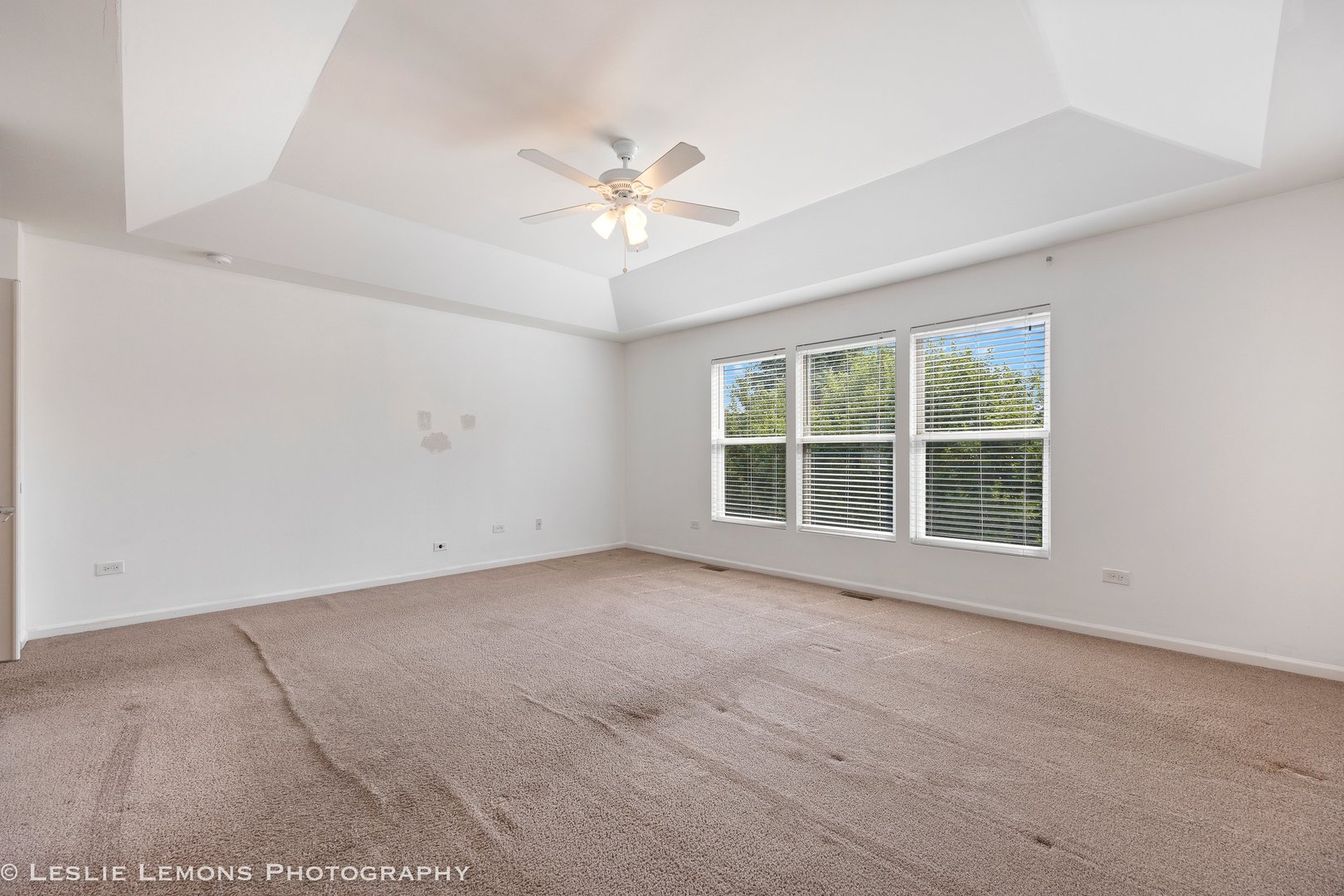 366 Tiger Street, Bolingbrook, IL 60490