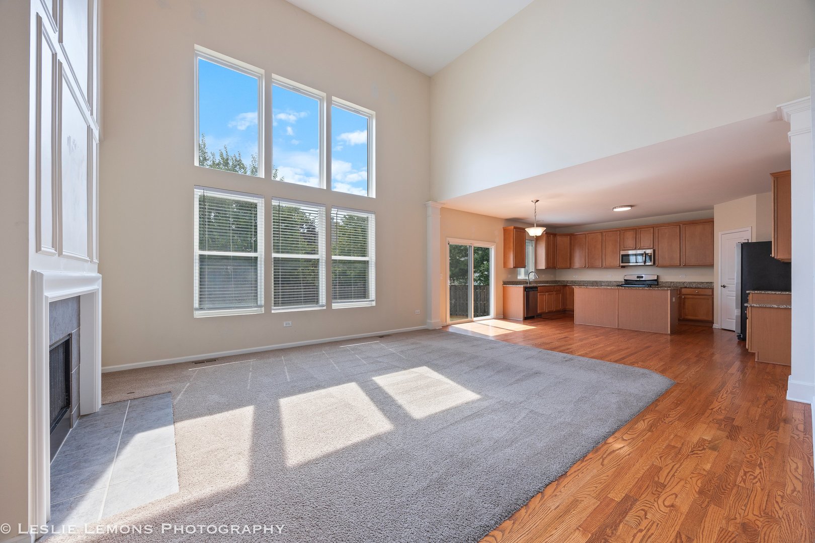 366 Tiger Street, Bolingbrook, IL 60490