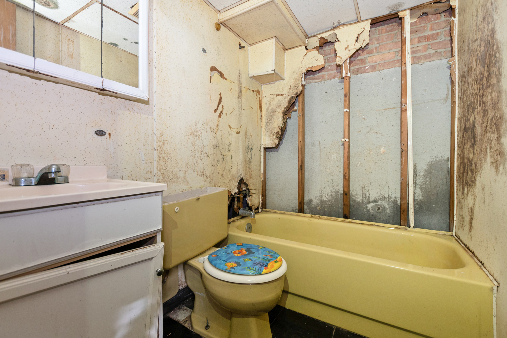 513 E 87th Street, Chicago, IL 60619