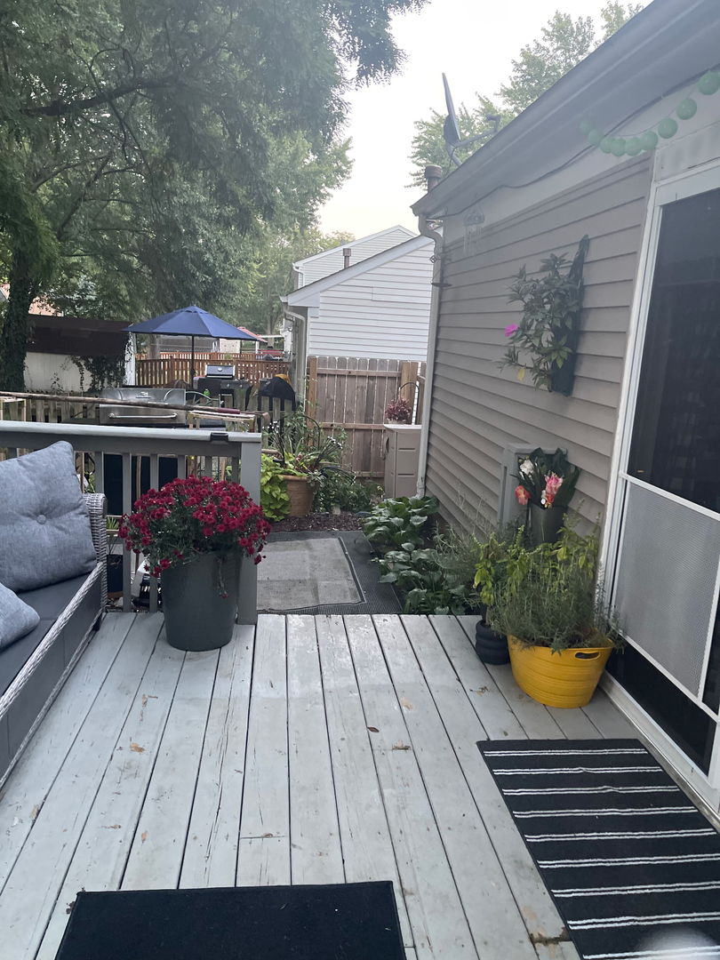 517 W HAVEN Avenue, New Lenox, IL 60451