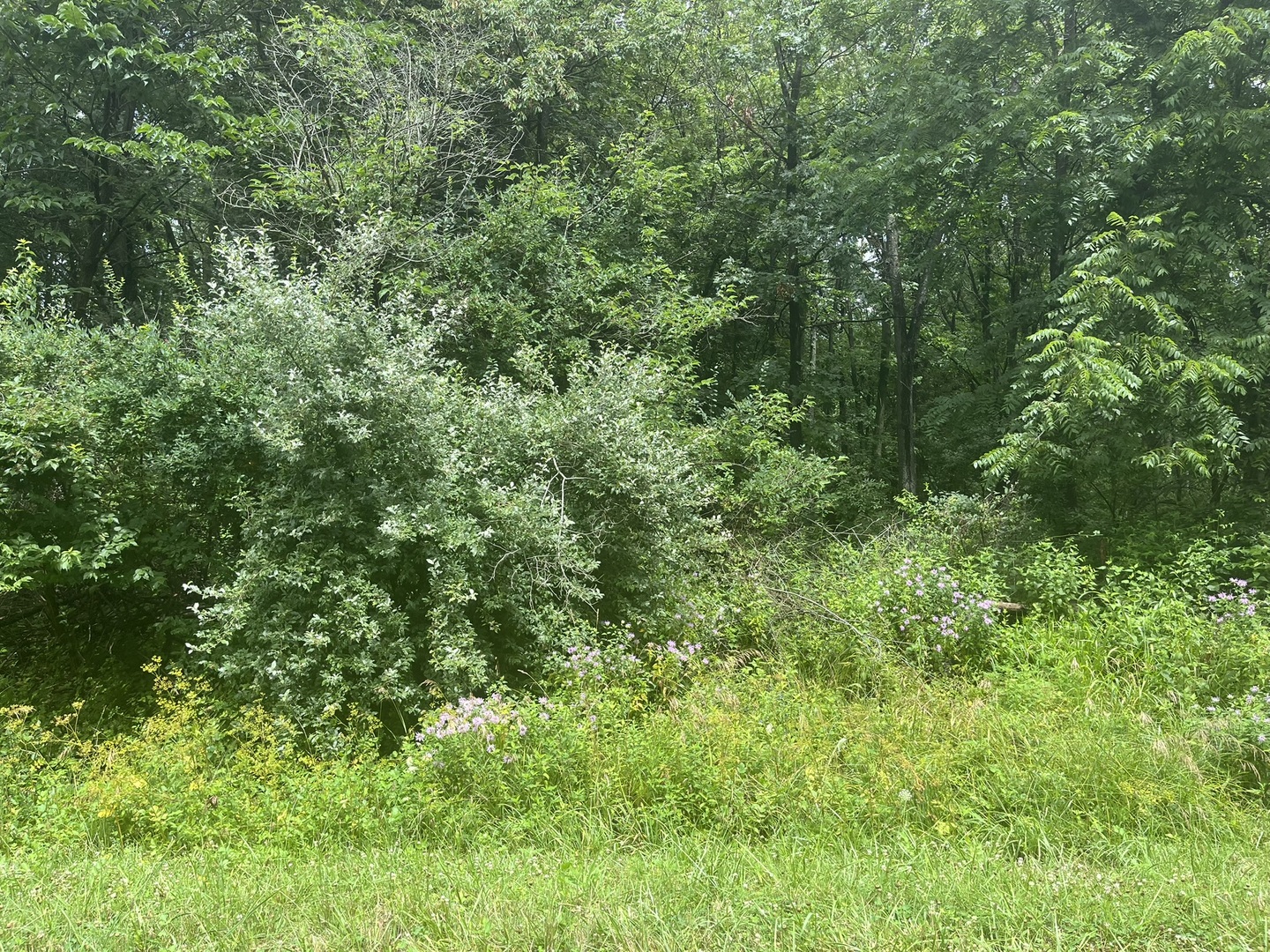 28 Cedar Lane, Putnam, IL 61560
