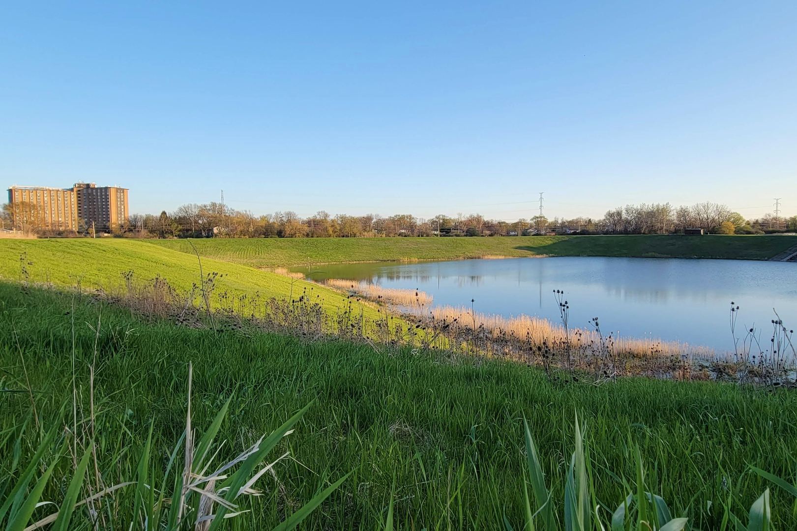1 Renaissance Place #1119, Palatine, IL 60067