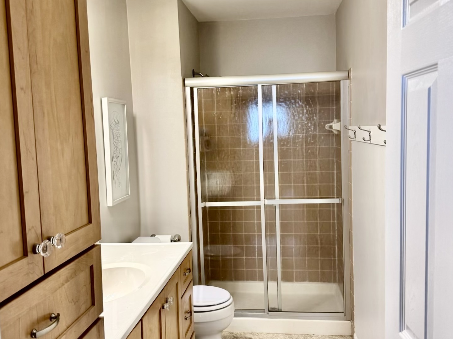 630 Zaininger Avenue #D, Naperville, IL 60563