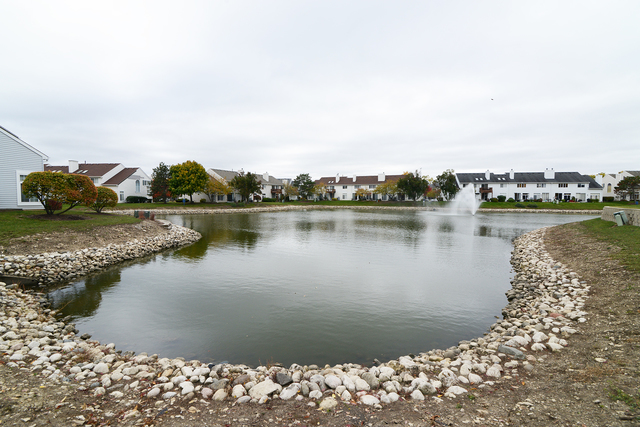 967 Ripple Ridge Cove, Darien, IL 60561