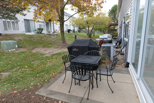 967 Ripple Ridge Cove, Darien, IL 60561