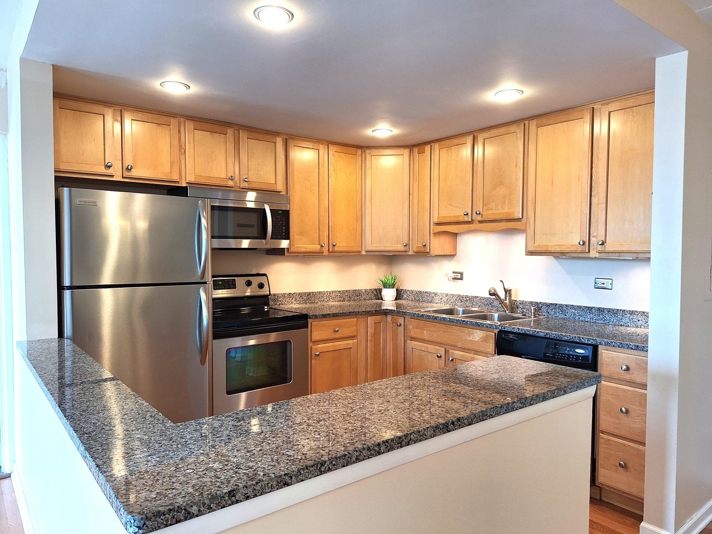 2015 S Finley Road #203, Lombard, IL 60148