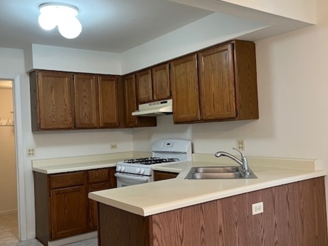 852 Dracut Lane, Schaumburg, IL 60173