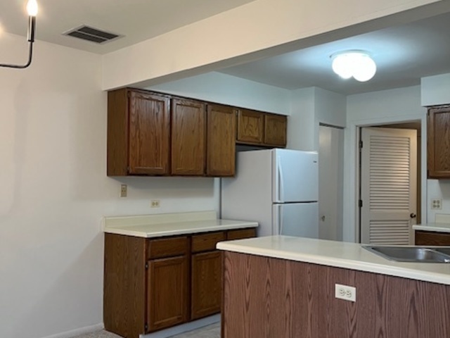852 Dracut Lane, Schaumburg, IL 60173