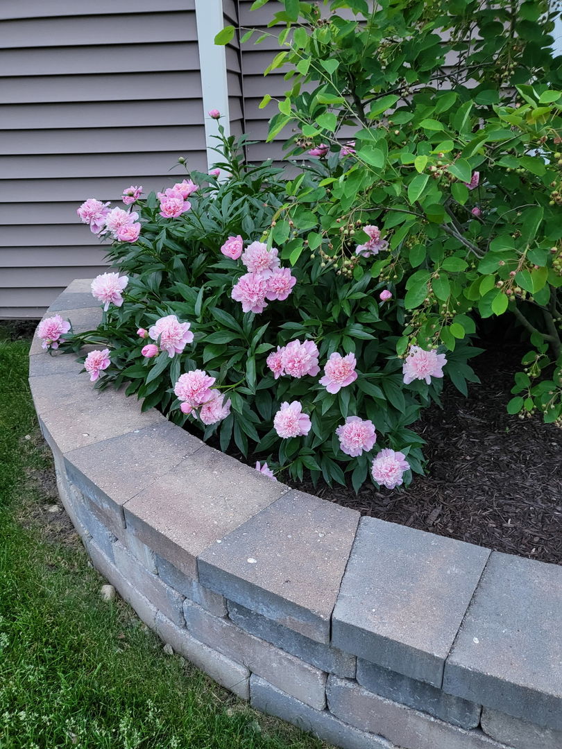 2S631 Angeline Court, Warrenville, IL 60555