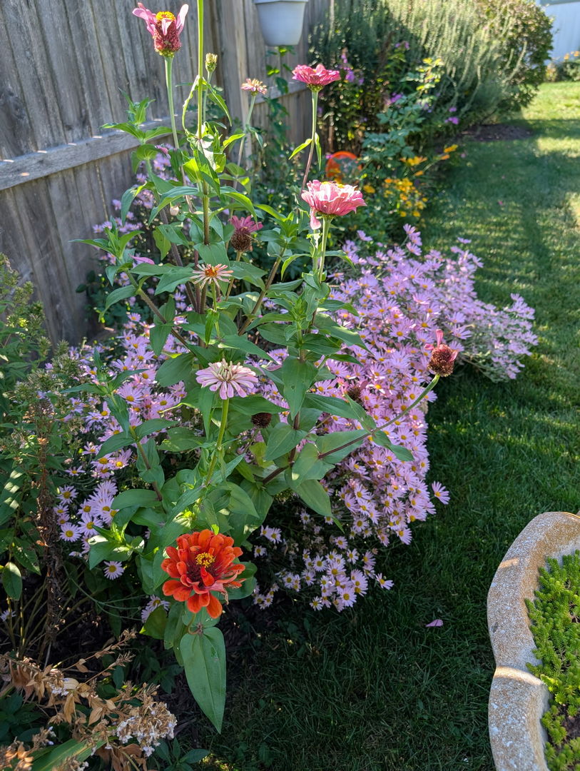 2S631 Angeline Court, Warrenville, IL 60555