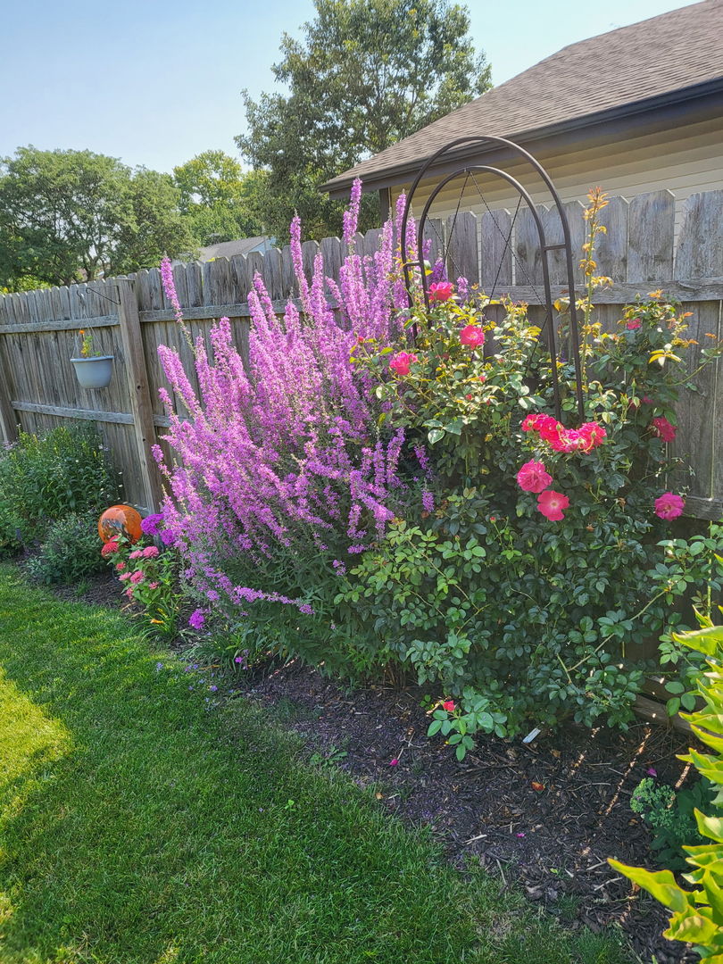 2S631 Angeline Court, Warrenville, IL 60555