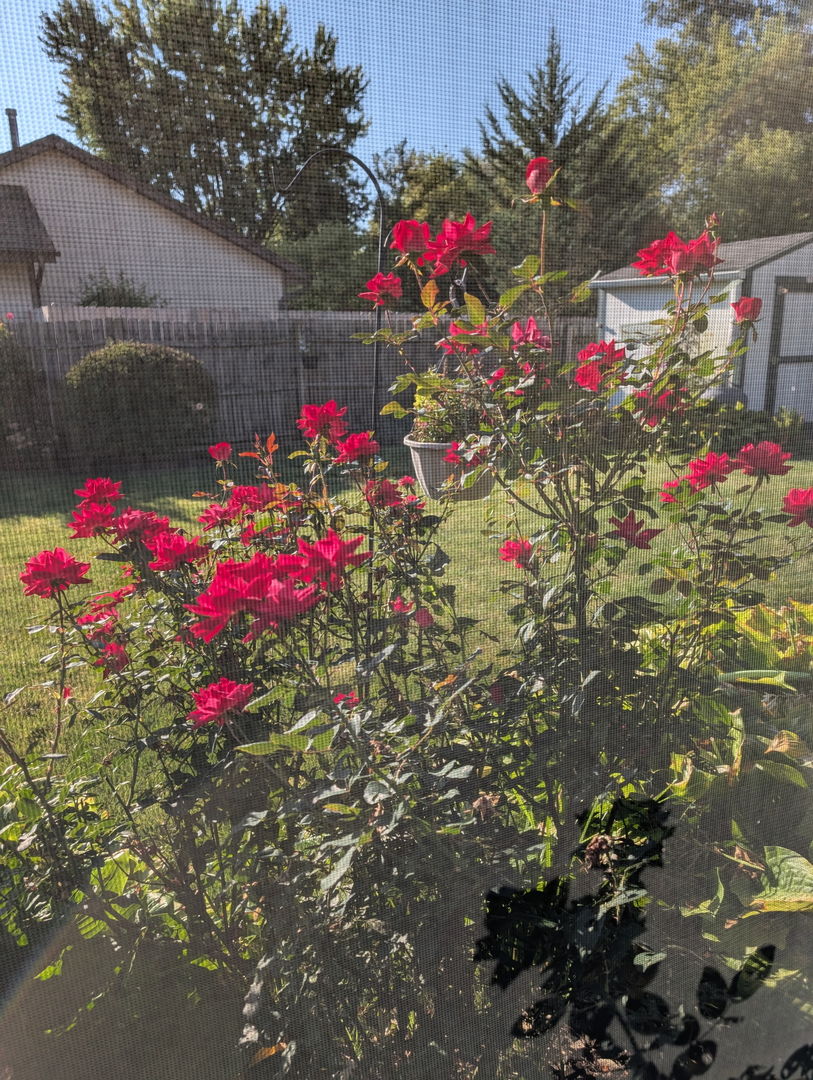 2S631 Angeline Court, Warrenville, IL 60555