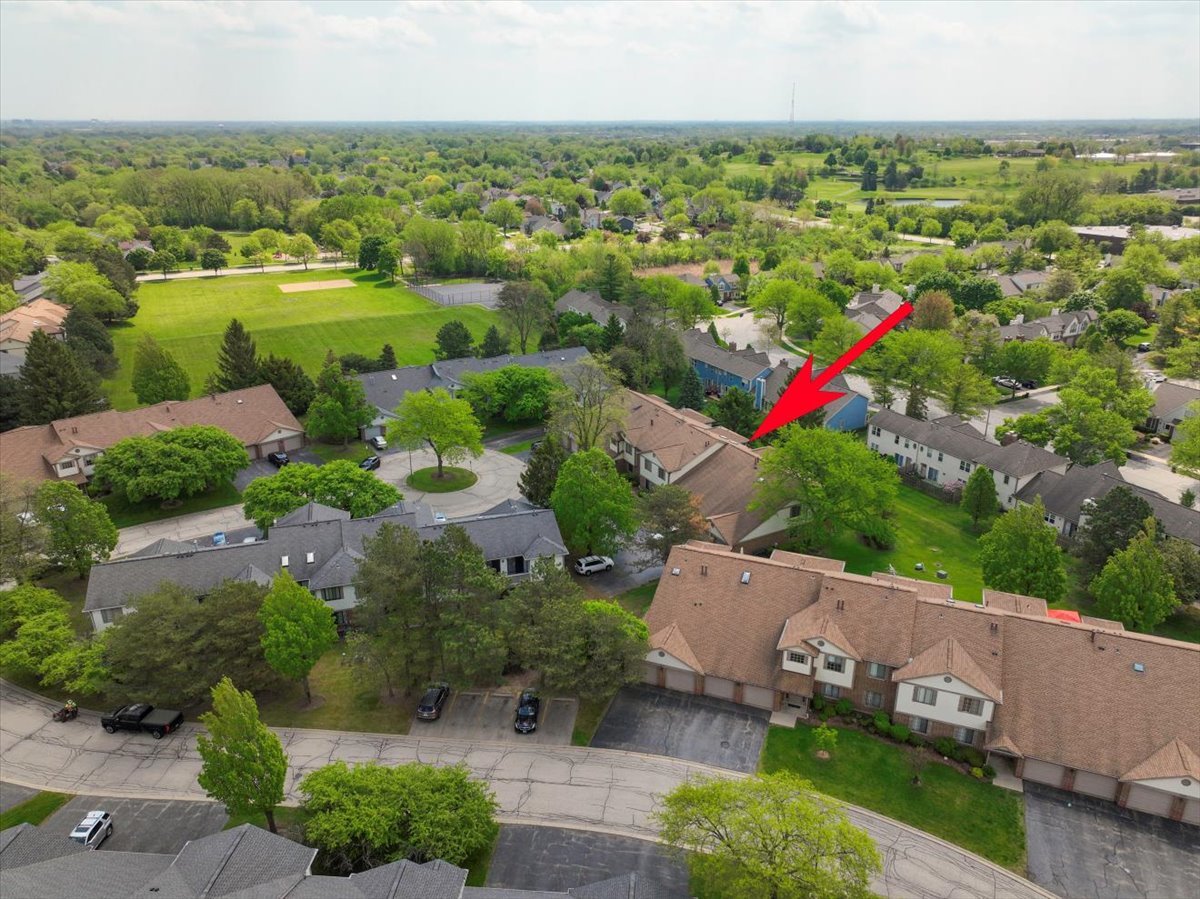 1611 W Partridge Court #8, Arlington Heights, IL 60004