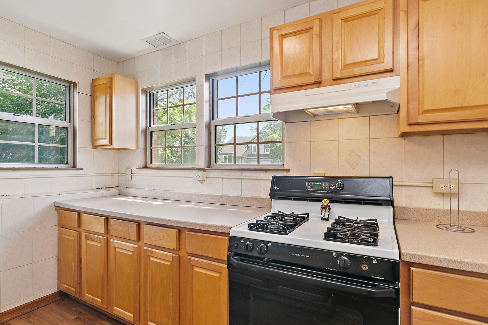 2138 Green Bridge Lane, Hanover Park, IL 60133