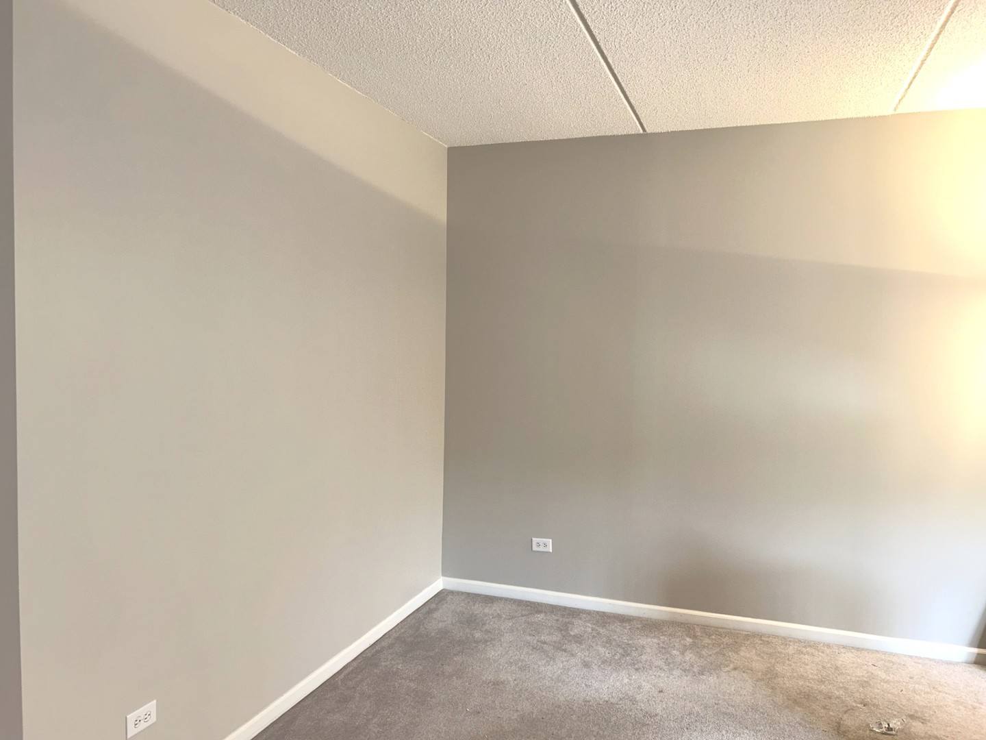 445 Village Green #201, Lincolnshire, IL 60069