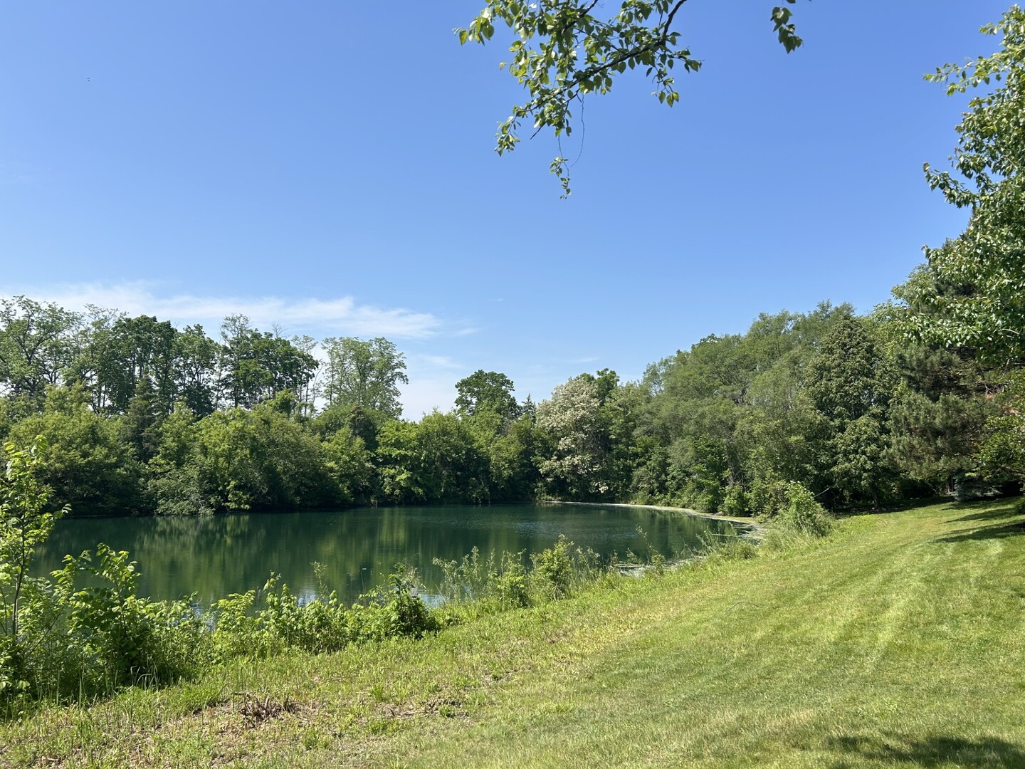 445 Village Green #201, Lincolnshire, IL 60069