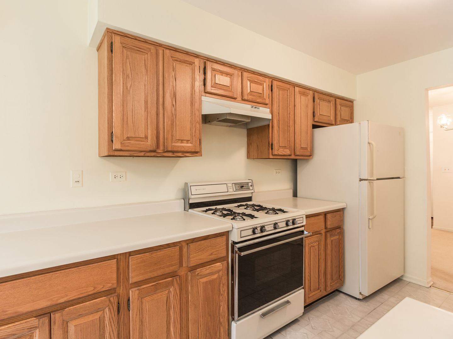 735 Weidner Road #145A1, Buffalo Grove, IL 60089