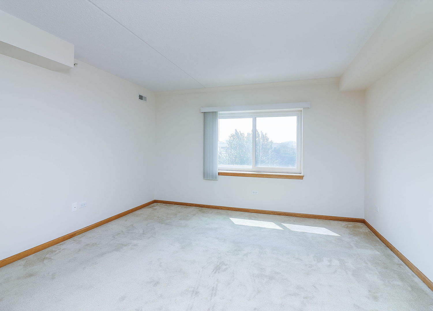 2020 Saint Regis Drive #509, Lombard, IL 60148