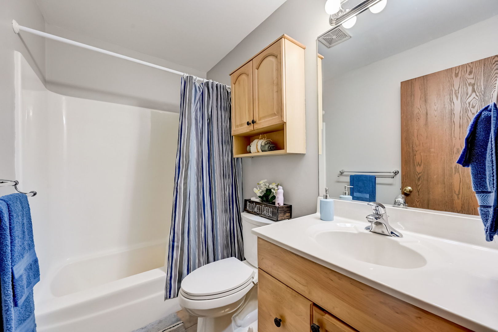 50 Terry Drive #D, Roselle, IL 60172