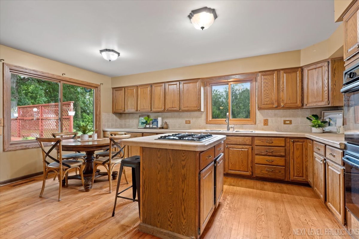 5S275 Deer Ridge Path, Big Rock, IL 60511