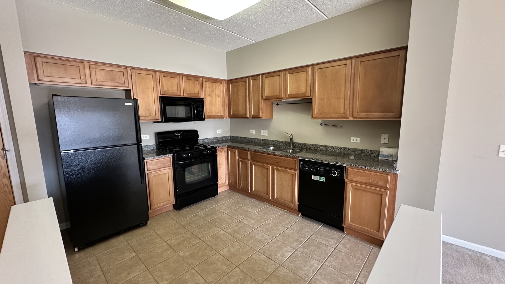 3501 WELLINGTON Court #305, Rolling Meadows, IL 60008