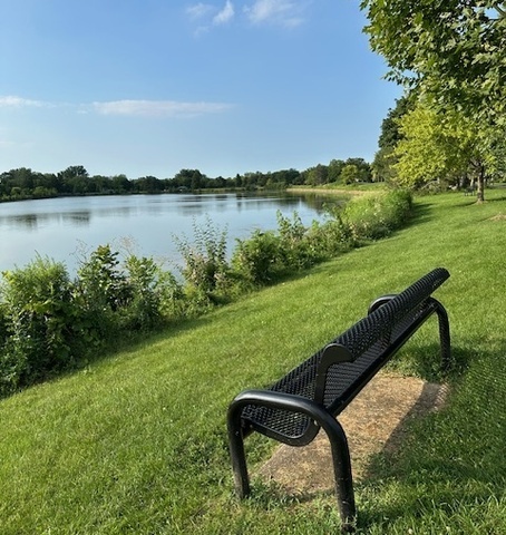 181 BROOK Lane #181, Vernon Hills, IL 60061