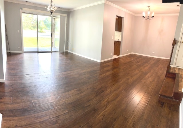 181 BROOK Lane #181, Vernon Hills, IL 60061
