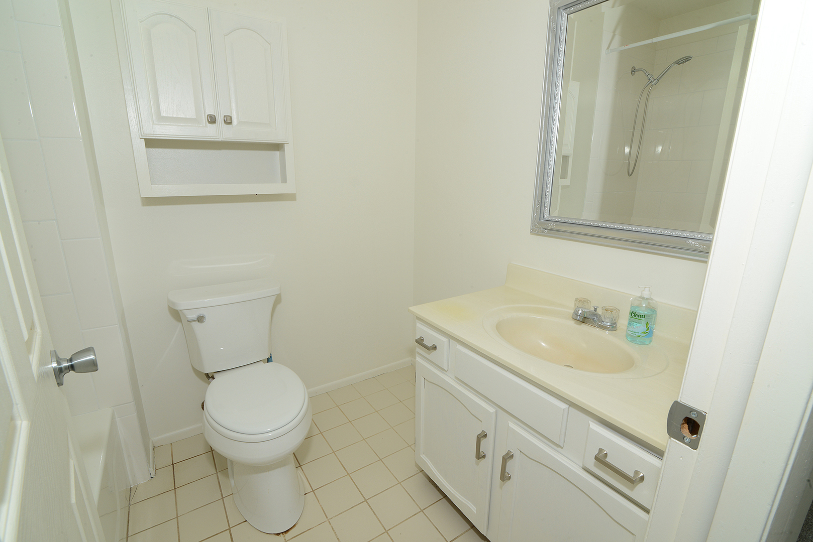 600 Eastveiw Court #X1, Schaumburg, IL 60193