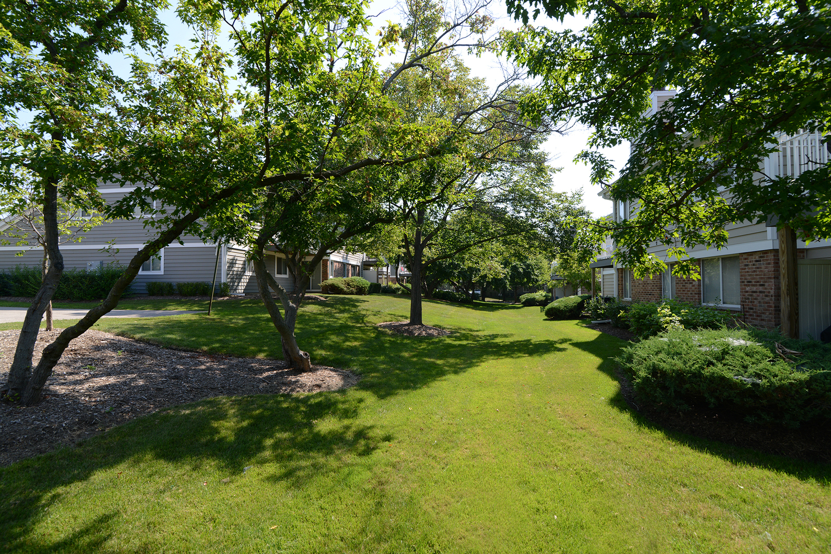 600 Eastveiw Court #X1, Schaumburg, IL 60193
