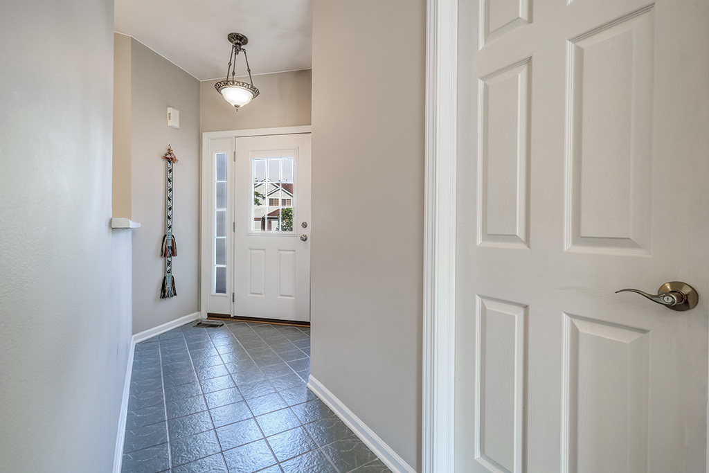 8156 Ripple Ridge Drive, Darien, IL 60561